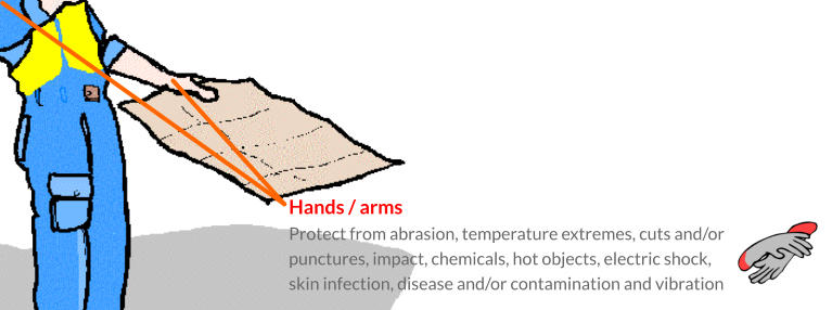 Hands / arms Protect from abrasion, temperature extremes, cuts and/or punctures, impact, chemicals, hot objects, electric shock, skin infection, disease and/or contamination and vibration